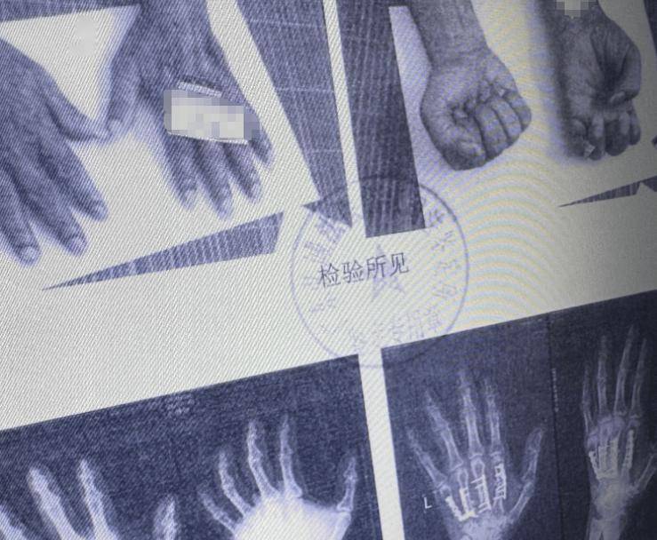 皇冠信用盘会员账号
_南海开渔皇冠信用盘会员账号
，无惧争“鲜”