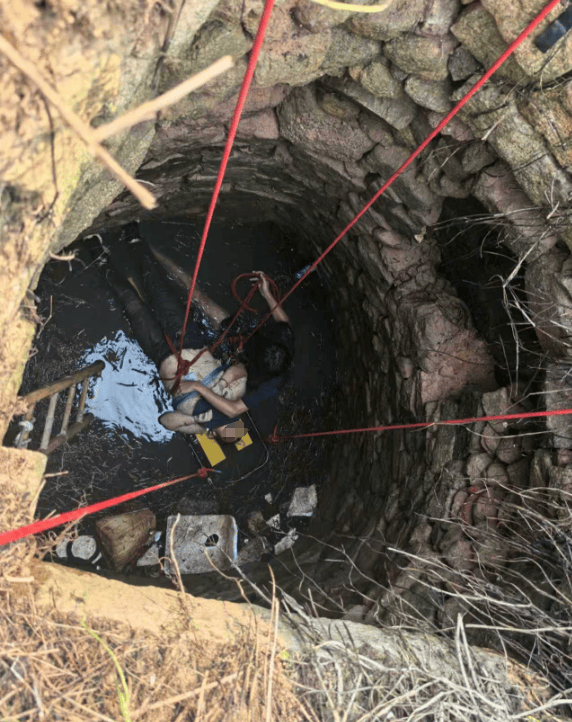 皇冠会员如何申请_多条蛇缠身皇冠会员如何申请，女子被咬了也不敢动！深井内苦撑54小时后……