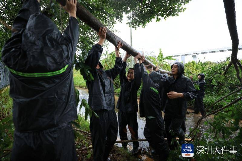 皇冠信用开户_从“山竹”开始皇冠信用开户,深圳这家企业每遇台风都组织员工排险清障