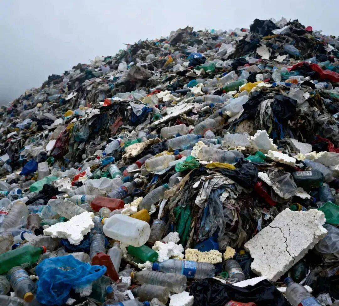 皇冠信用網注册开通_中国外卖袋皇冠信用網注册开通，悄悄占领非洲