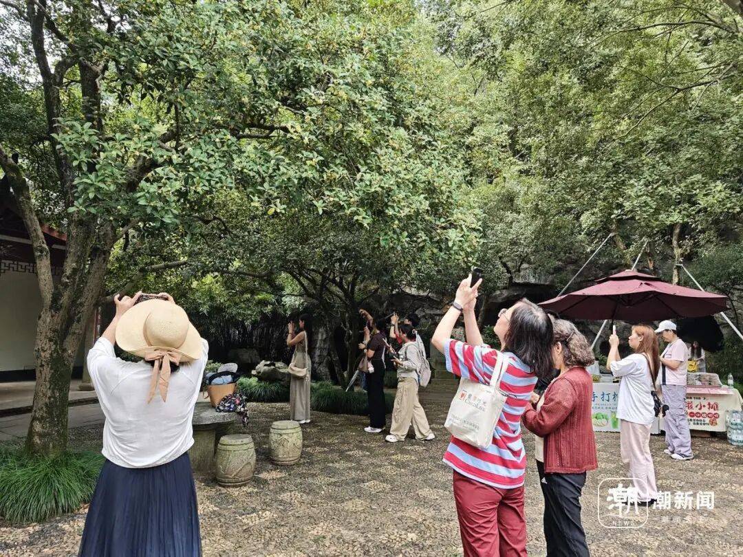 皇冠信用网在线申请_进度达70%!杭州即将进入全盛期皇冠信用网在线申请,别错过!