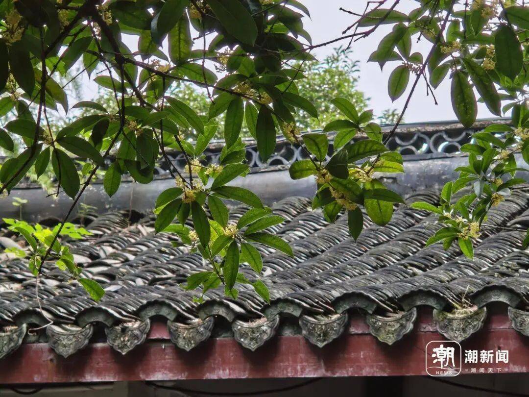 皇冠信用网在线申请_进度达70%!杭州即将进入全盛期皇冠信用网在线申请,别错过!