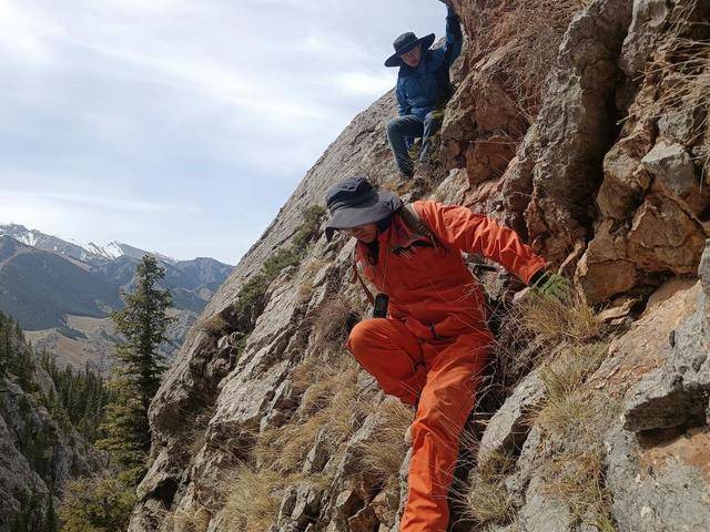 皇冠信用需要押金吗_全国找金最多的地质队皇冠信用需要押金吗！已查明金资源量2810余吨