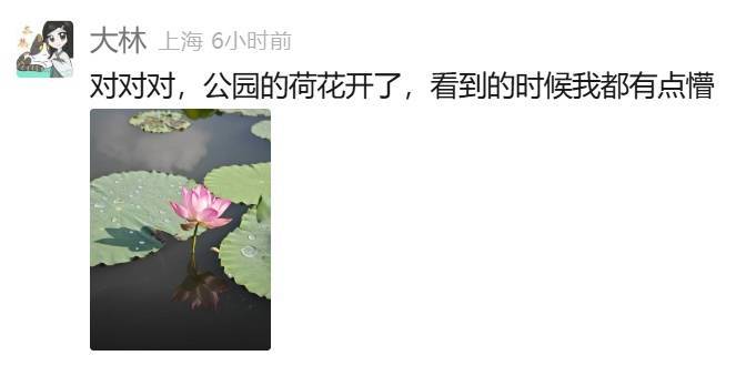 皇冠信用网登123出租_上海：节后气温将冲高至33℃！今夏已长达150天皇冠信用网登123出租，玉兰蔷薇樱花荷花全开了……