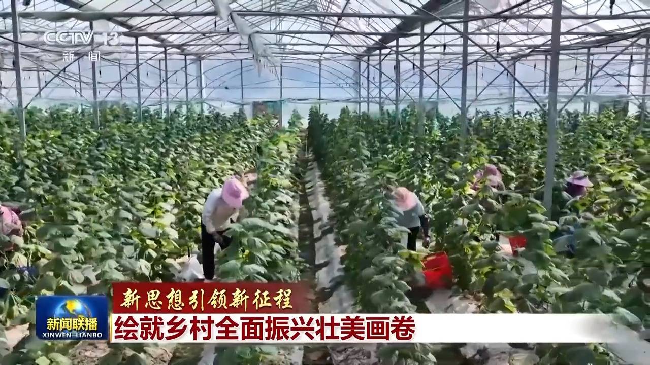 皇冠信用盘登_新思想引领新征程丨绘就乡村全面振兴壮美画卷