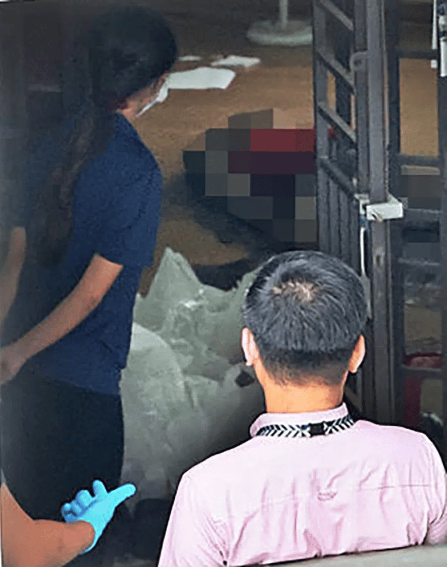 如何代理皇冠信用_新加坡现双尸案：父亲成白骨如何代理皇冠信用，剑桥博士女儿疑饿死，一家来自东北