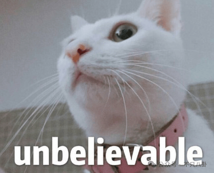 hga035会员注册_他俩没分手但被拍到吵架了hga035会员注册，吵得很凶......