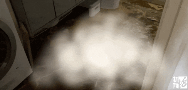 皇冠信用网登3代理
_上海一业主推开家门瞬间懵了皇冠信用网登3代理
！精装房竟成“化粪池”……