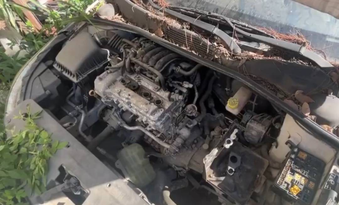 皇冠信用网平台出租_浙江男子把私家车停路边两年皇冠信用网平台出租，一次也没去看过！如今要用车时傻眼：还能这样？