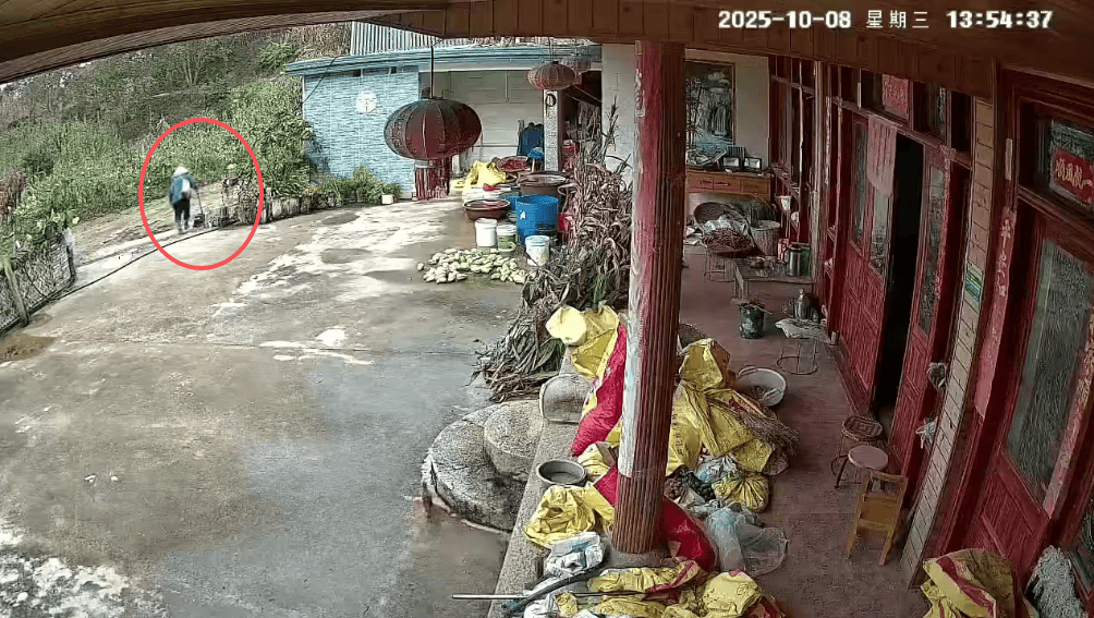 皇冠登3新2管理_93岁老人进山失联皇冠登3新2管理，两天后发现他倒挂在树杈上苦撑……