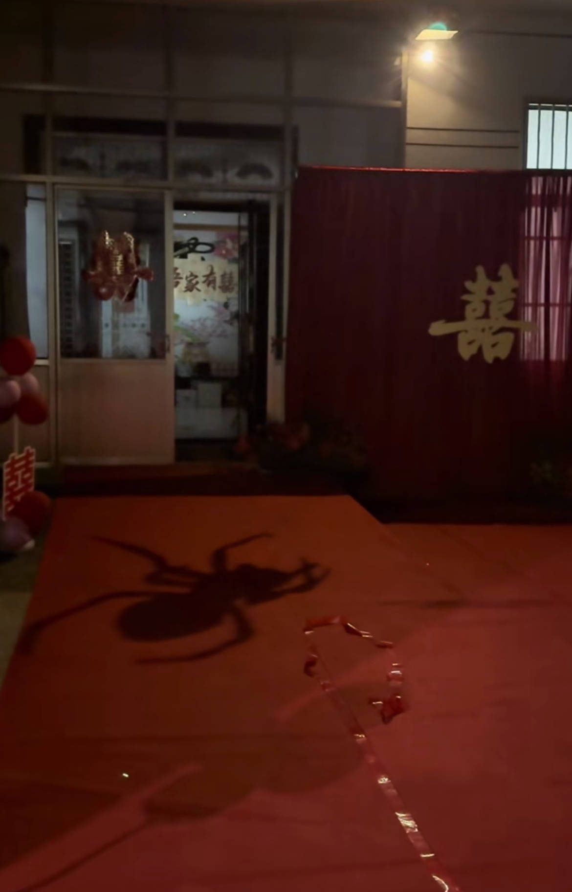 如何申请皇冠信用网_山东一新娘家凌晨出现巨大蜘蛛的倒影如何申请皇冠信用网，拍摄者：蜘蛛爬在灯泡上，网友：这才是喜结连理