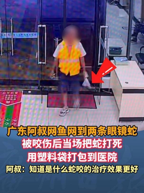 皇冠信用網需要押金吗
_广东62岁阿叔网鱼网到2条眼镜蛇皇冠信用網需要押金吗
，被咬伤后当场打死，并打包提进医院