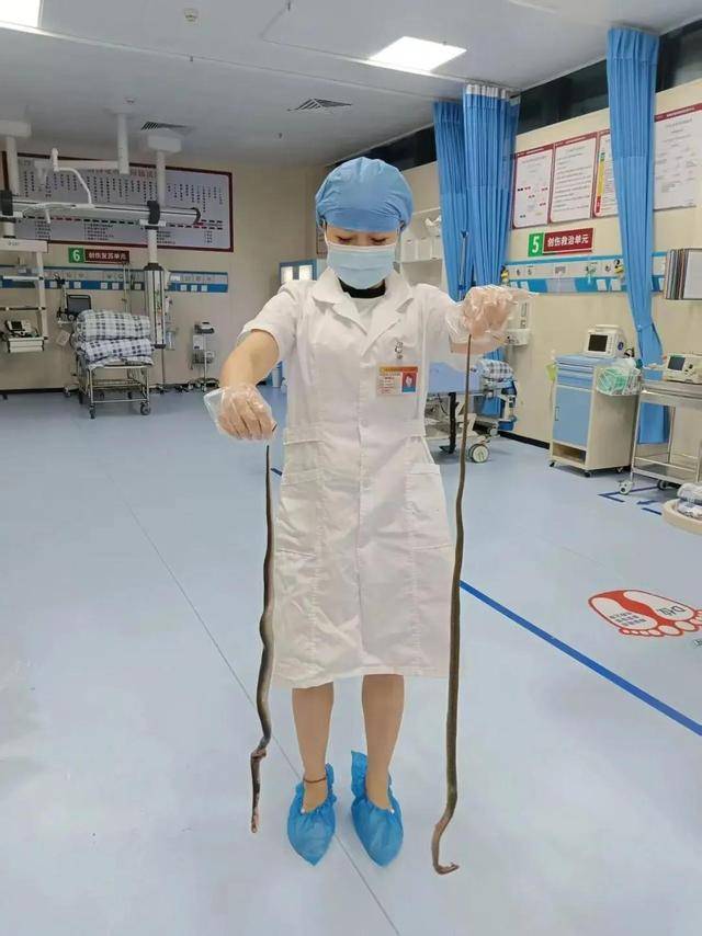 皇冠信用網需要押金吗
_广东62岁阿叔网鱼网到2条眼镜蛇皇冠信用網需要押金吗
，被咬伤后当场打死，并打包提进医院