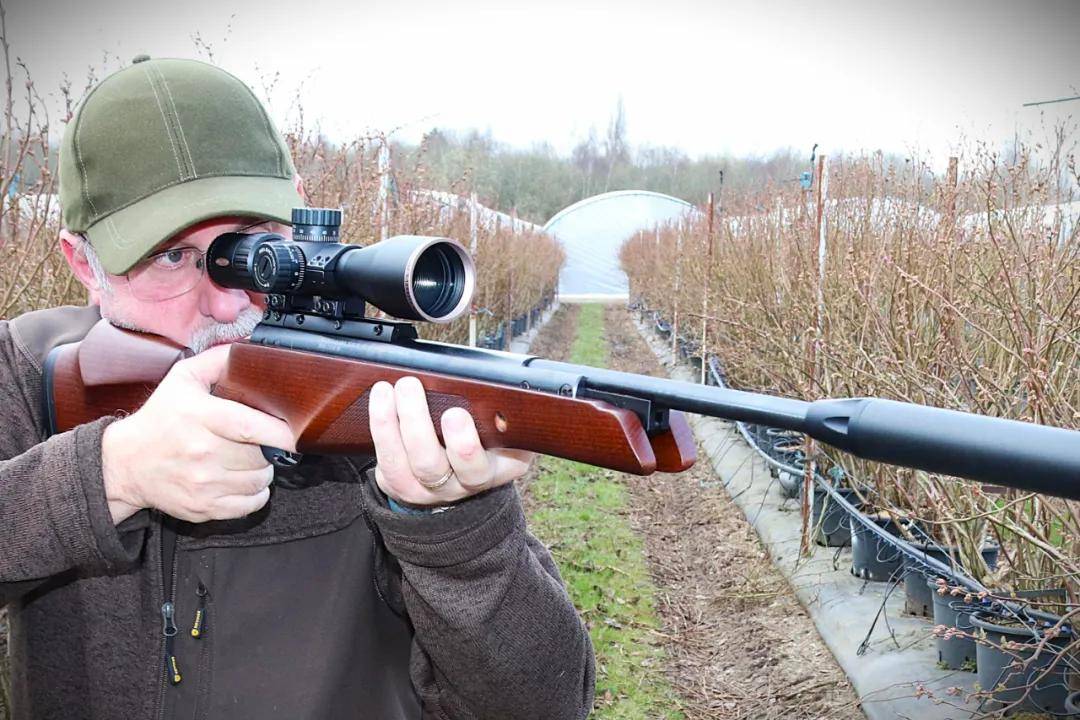 世界杯信用网正网_头部中弹！近日安徽18岁男孩深夜遭遇枪击世界杯信用网正网，枪是从哪来的？