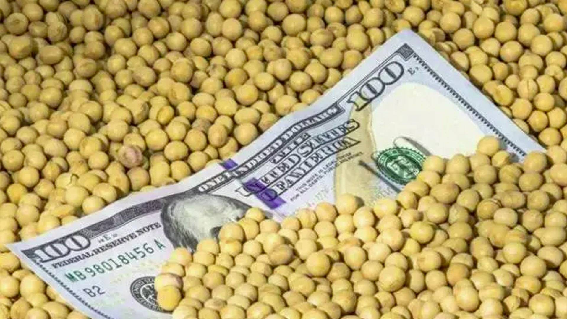 皇冠信用盘在线开户
_美国大使给中方发来通牒皇冠信用盘在线开户
，要求交出港口！美媒发现：中国采购美国大豆陷入停滞