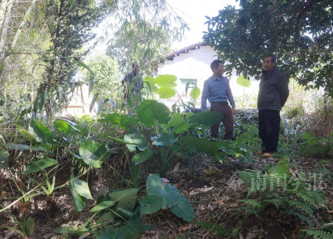 皇冠信用网登3代理
_柳州钓鱼阿叔竹林挖蚯蚓皇冠信用网登3代理
，竟挖出千年前的“大宝贝”！