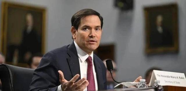 波兰vs阿尔巴尼亚_“泽连斯基辞职说”背后真相