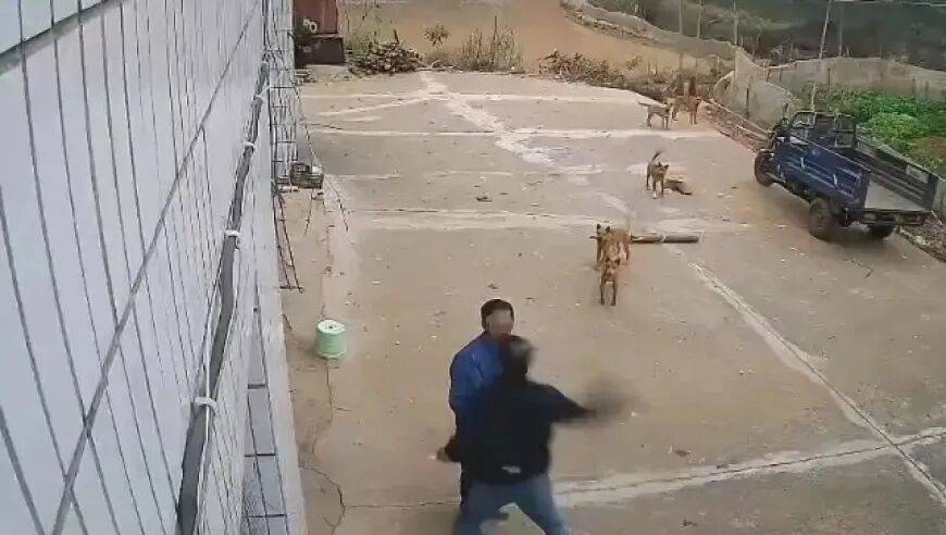 皇冠信用網正网_男子家门口吃橘子被邻居一拳打昏皇冠信用網正网，警方通报：因养狗问题起冲突，均有受伤