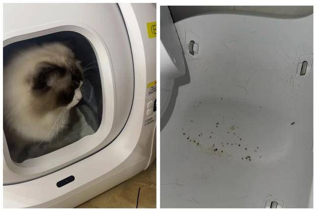 邓迪vs邓迪联
_AI养宠神器邓迪vs邓迪联
,收割年轻人