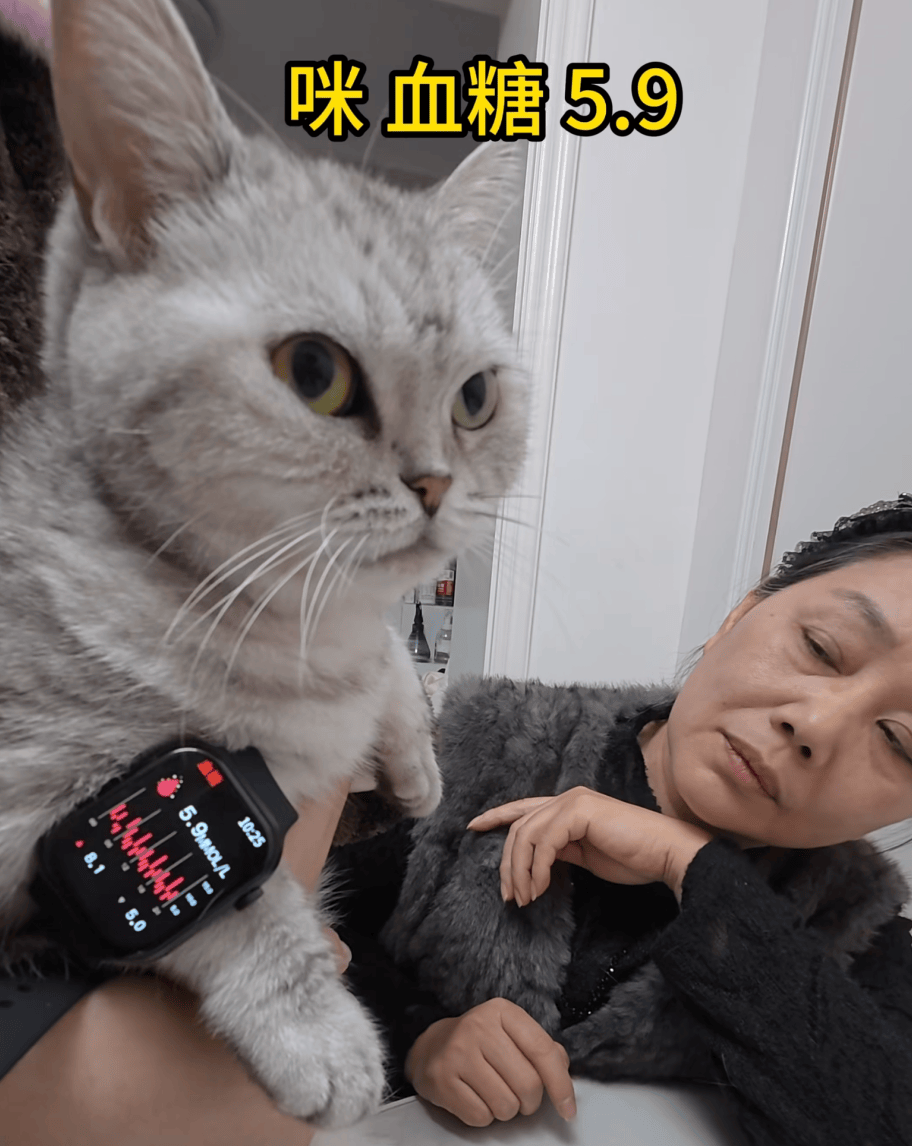 阿森纳vs利兹联_父母花84元网购“神奇手表”阿森纳vs利兹联，儿子发现能测万物：猫咪血糖5.9，吸尘器血糖7.4，父母：下次不买了