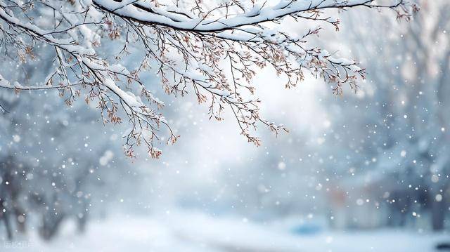 皇冠mos077_中到大雪局部暴雪皇冠mos077，-12℃+大风！山东最新天气预报