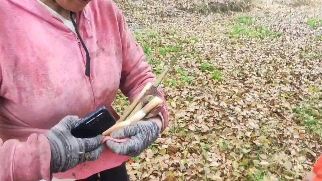 皇冠信用在线开户_宁波女子上山挖笋遇大雾迷路皇冠信用在线开户,足足困了两个多小时,获救时哭了,消防提醒→