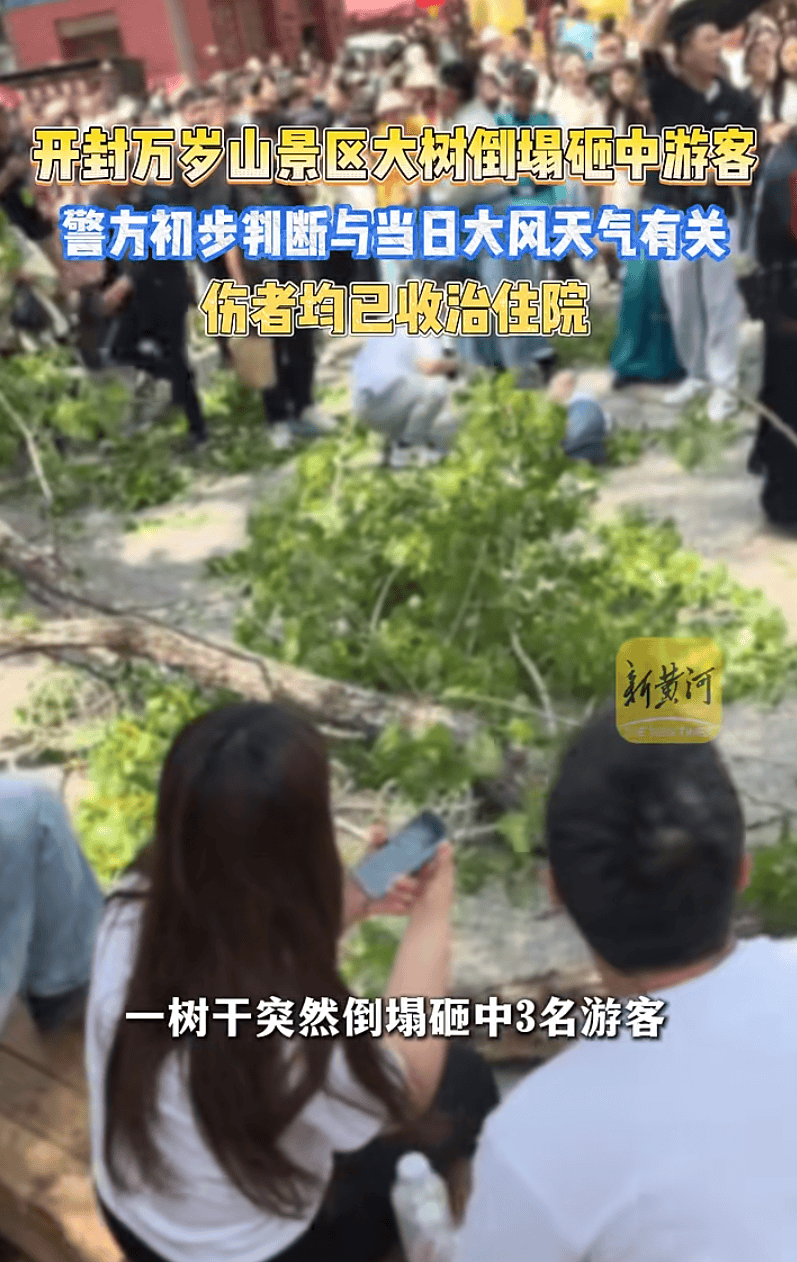 皇冠信用网怎么申请_河南开封万岁山景区树干倒塌皇冠信用网怎么申请，多名游客被砸伤，景区回应：已有专人对接处理